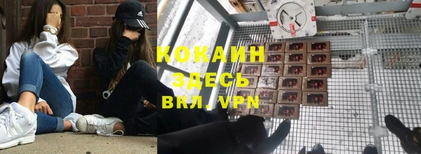 дживик Баксан