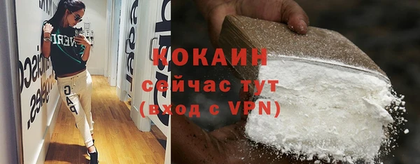 хмурый Лиски
