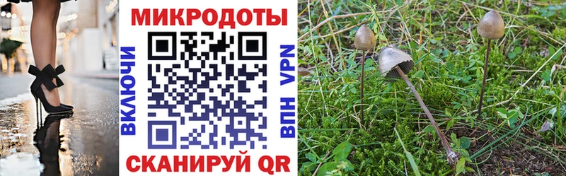 Псилоцибиновые грибы GOLDEN TEACHER  кракен маркетплейс  Ленск 